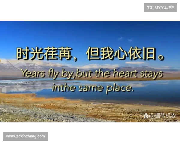 奥利塞的启示：如何在生活压力中坚守初心与自我